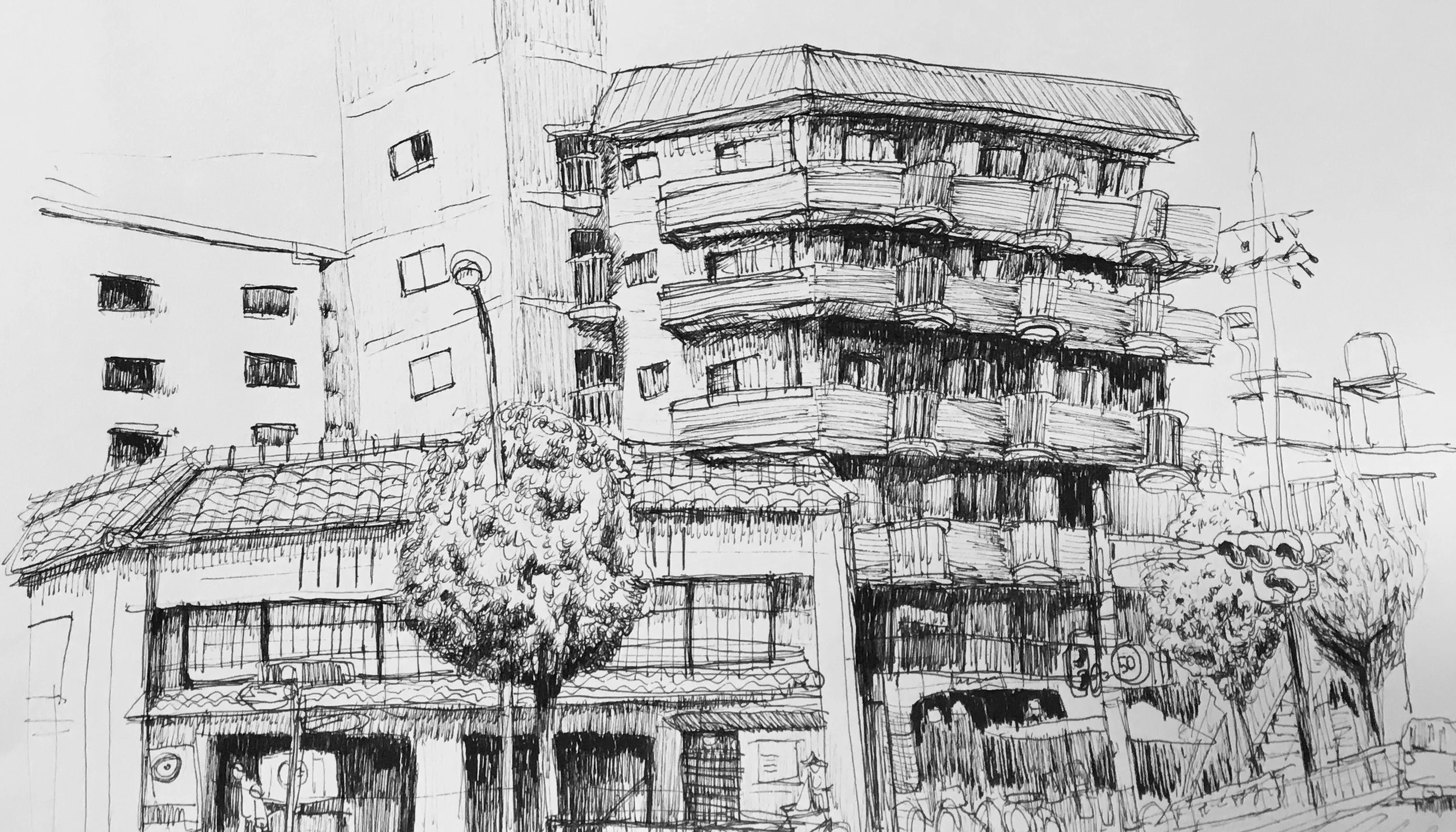 TAYLOR OISHI the boy can draw.