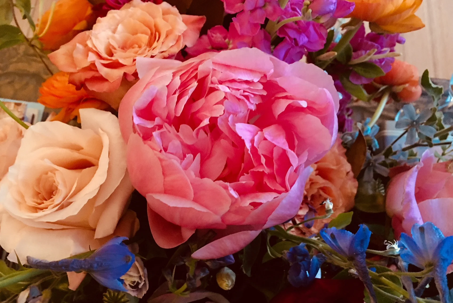 flower.jpg
