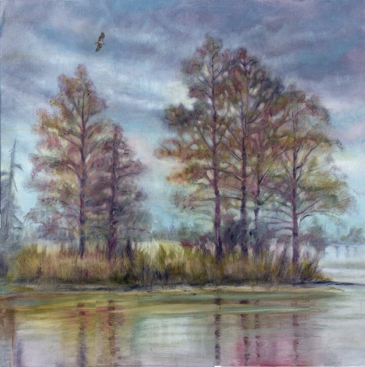   Congaree Colors   30x30   $2500 