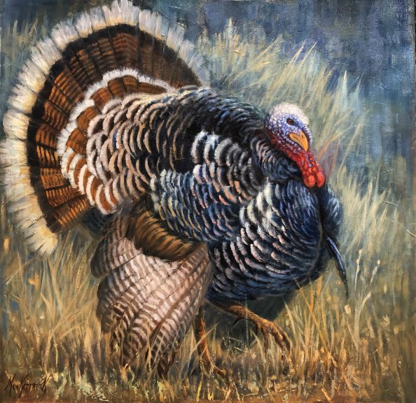   Strutting Proud    36x36   Oil 