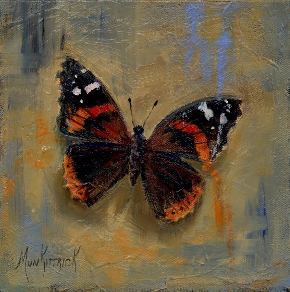   Red Admiral    8x8   Oil   $395  Available at Mystic Osprey Gallery 