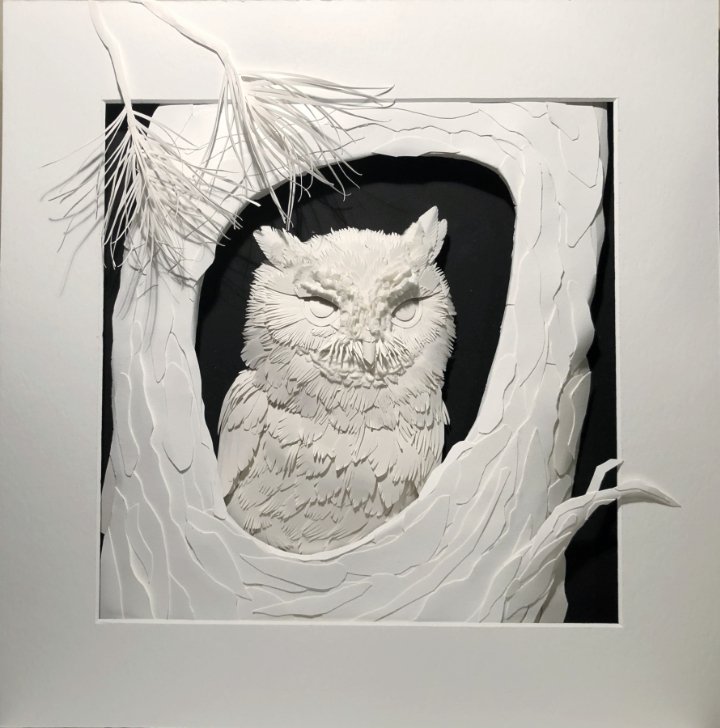   Nestled In (Screech Owl)    12x12   Cotton Rag &amp; Mulberry Paper  $2000 