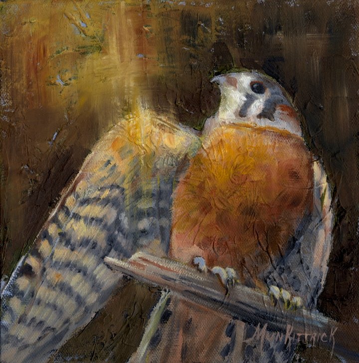   Flight Ready (Kestrel)     8x8    Oil    $395 