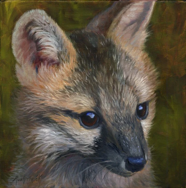 Reggie 12×12 Oil $700