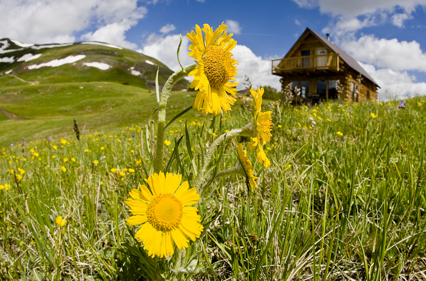 20110711_Silverton_015.jpg