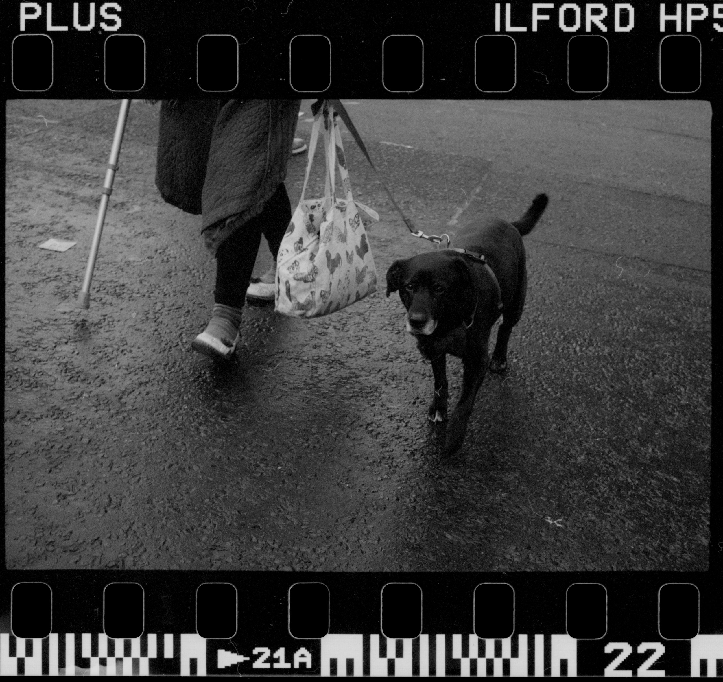 Roll 10 _008-1.jpg