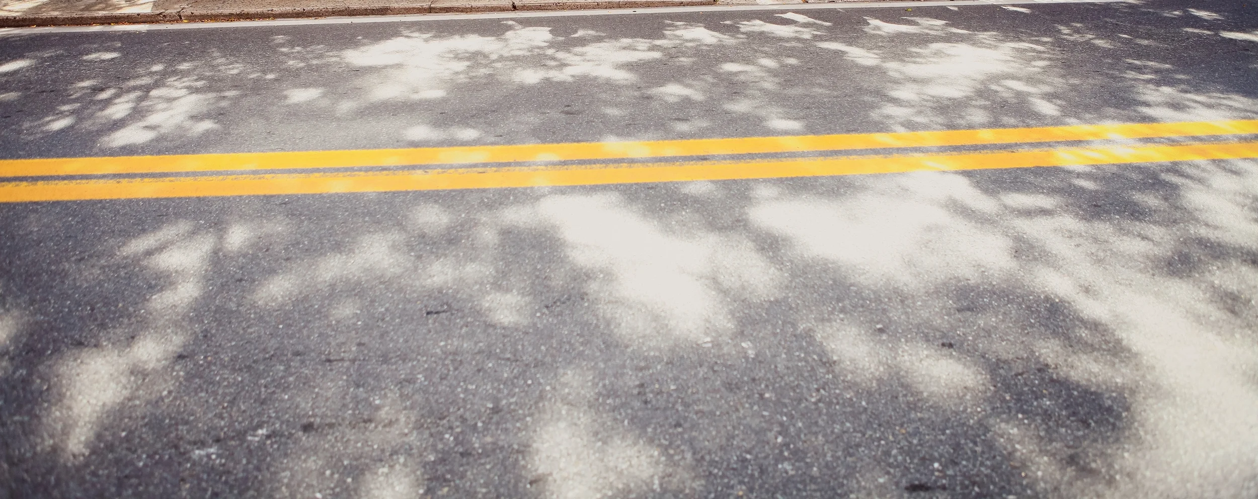 TreeShadowRoad_BC.jpg