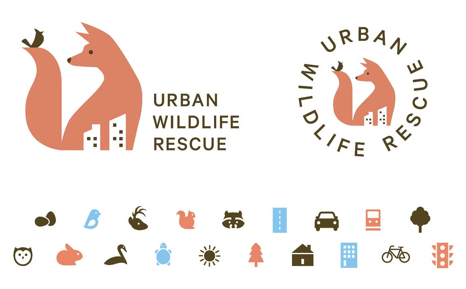 Urban_Wildlife_Awards_3.jpg