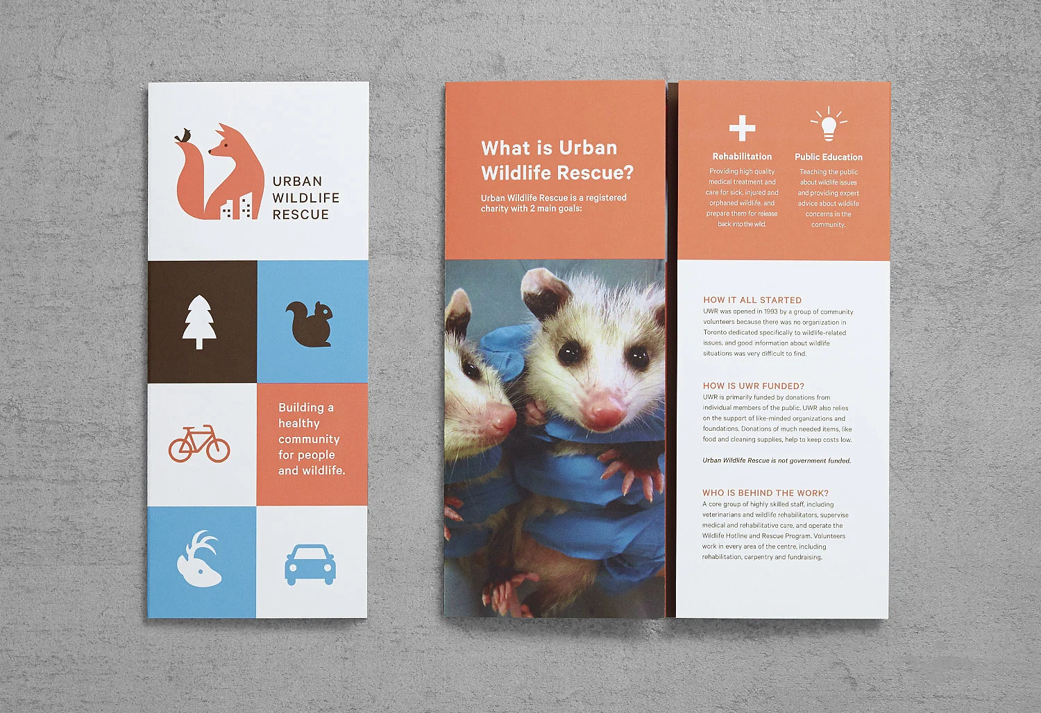 Urban_Wildlife_Awards_7.jpg