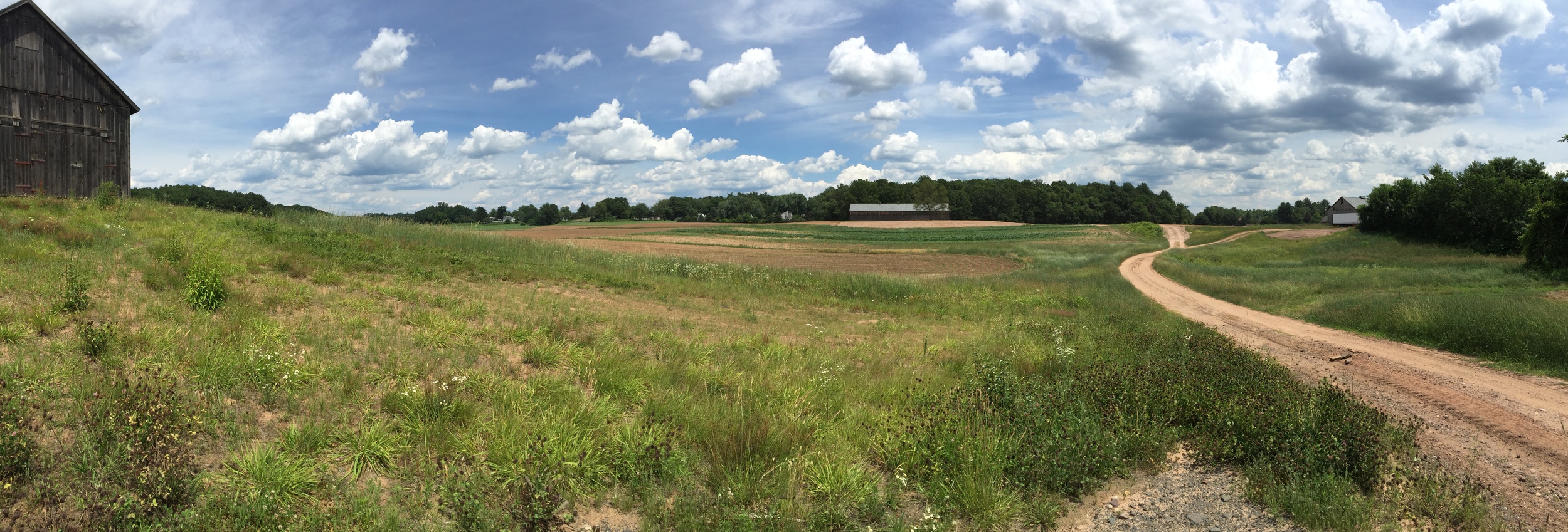 Raffia Farms property in Enfield, CT (photo courtesy of the CT DOAG)