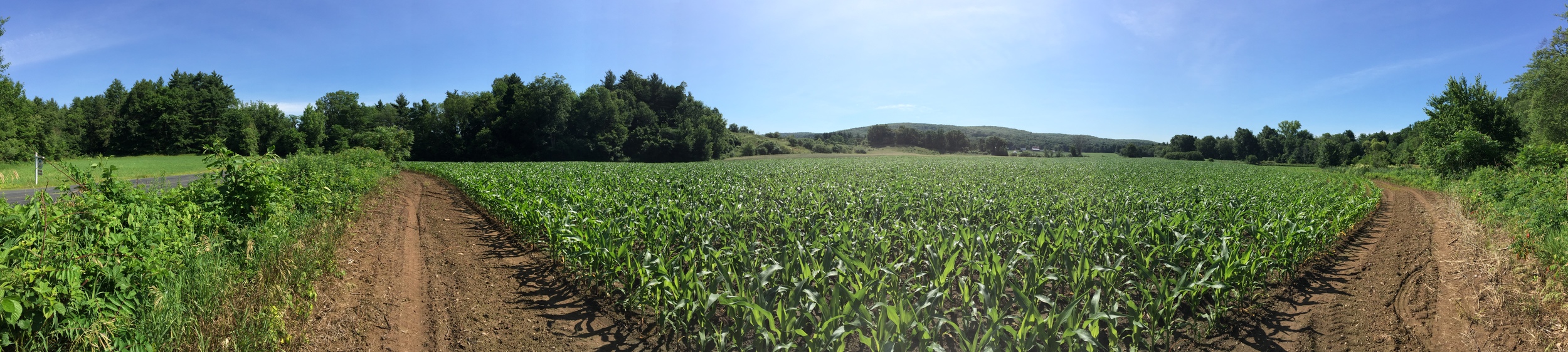 Charter Farm, Ellington (photo courtesy of the Department of Agriculture)