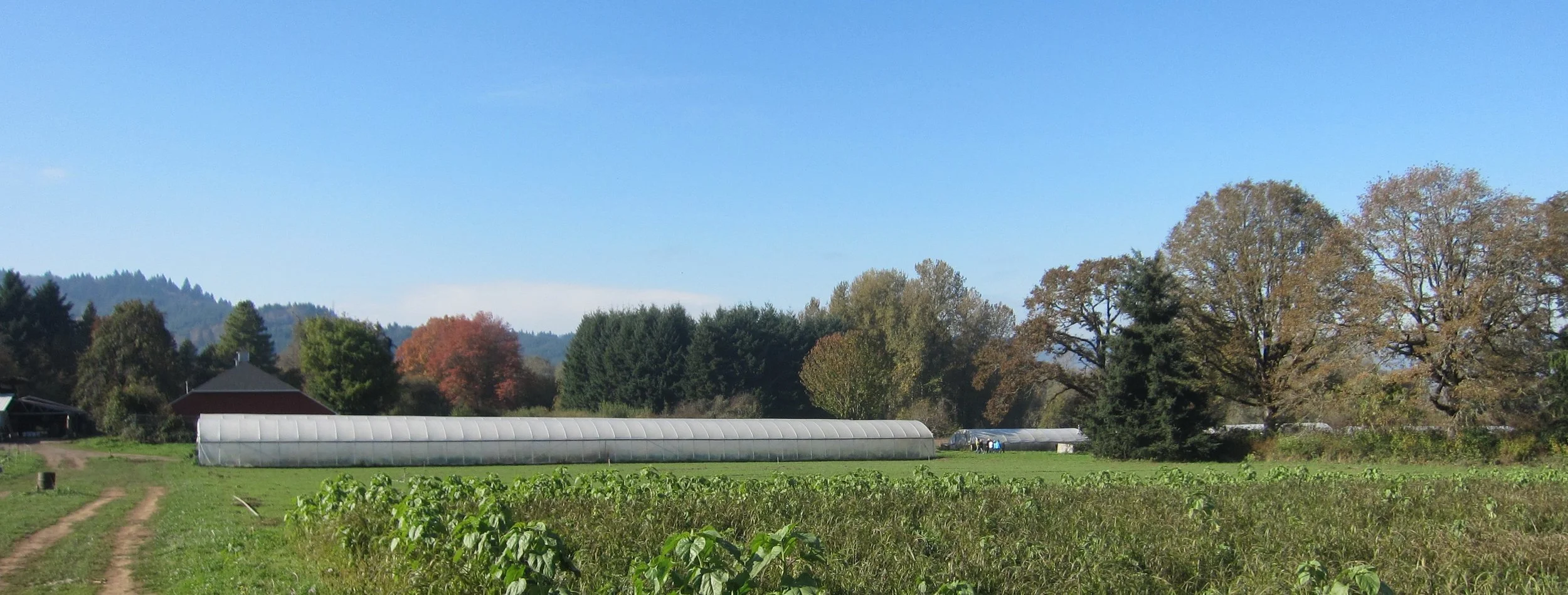 Cecarelli Farm, Branford (Kip Kolesinskas 2017)
