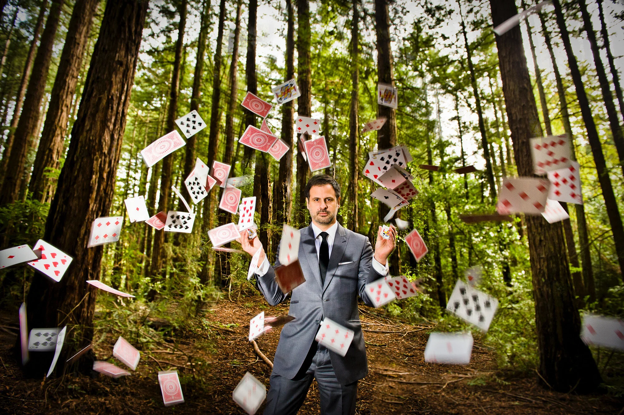 Dennis Kyriakos Magician Trees.jpg