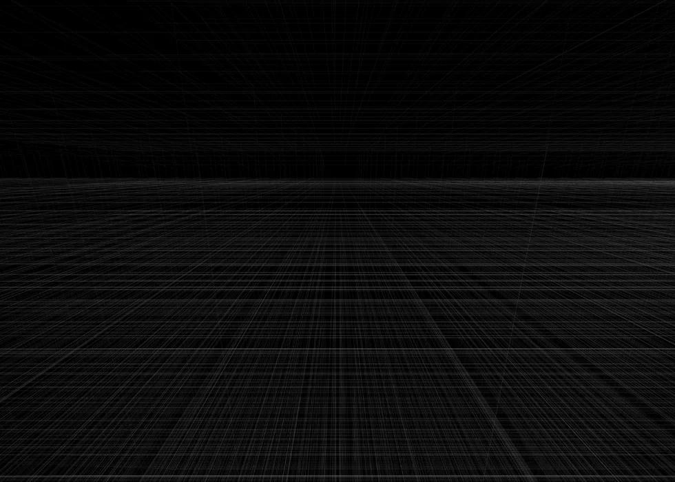 Try Hard (Grid) 2005 Collaboration: Elvon Young Exhibited: St Paul St Gallery (Auckland)