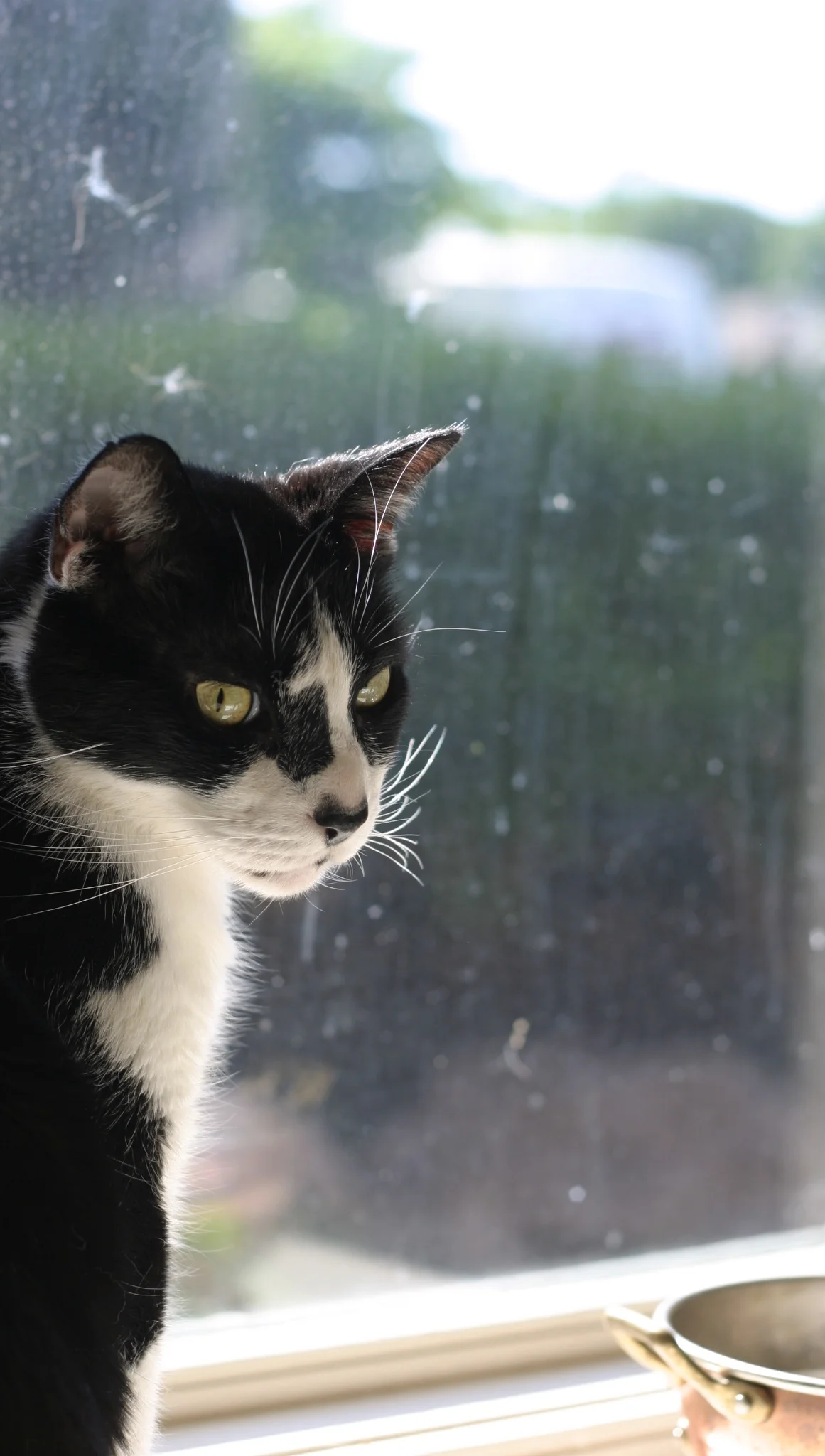 On scratches and listening