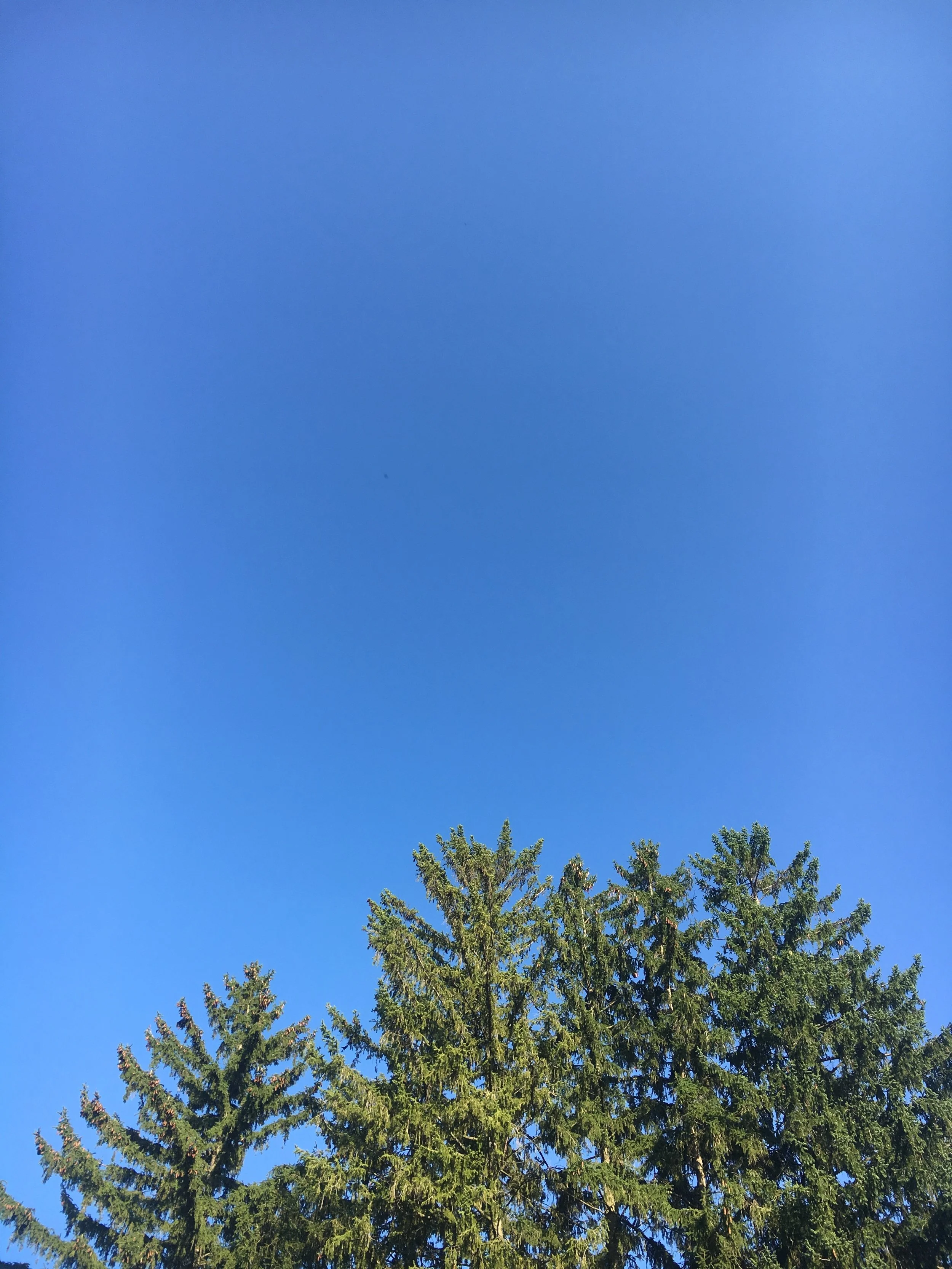 A good, busy, happy year