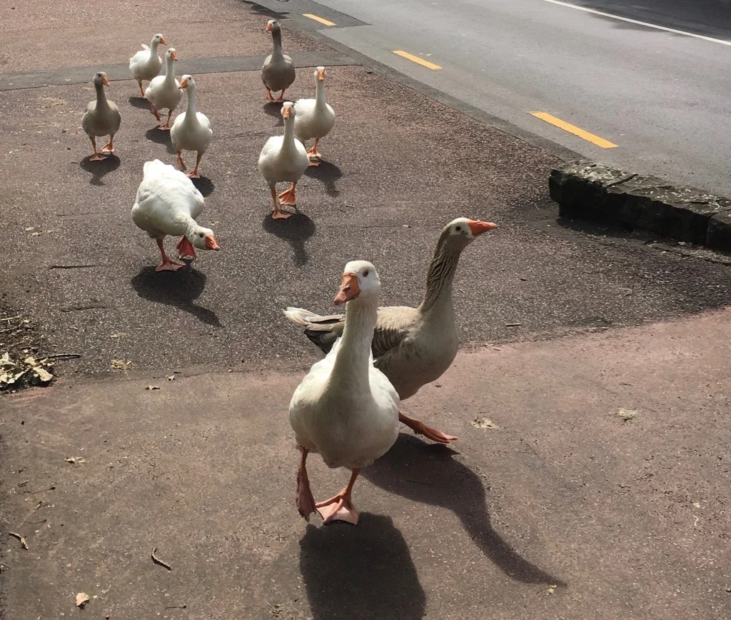 2018 was a year of many changes and beginnings