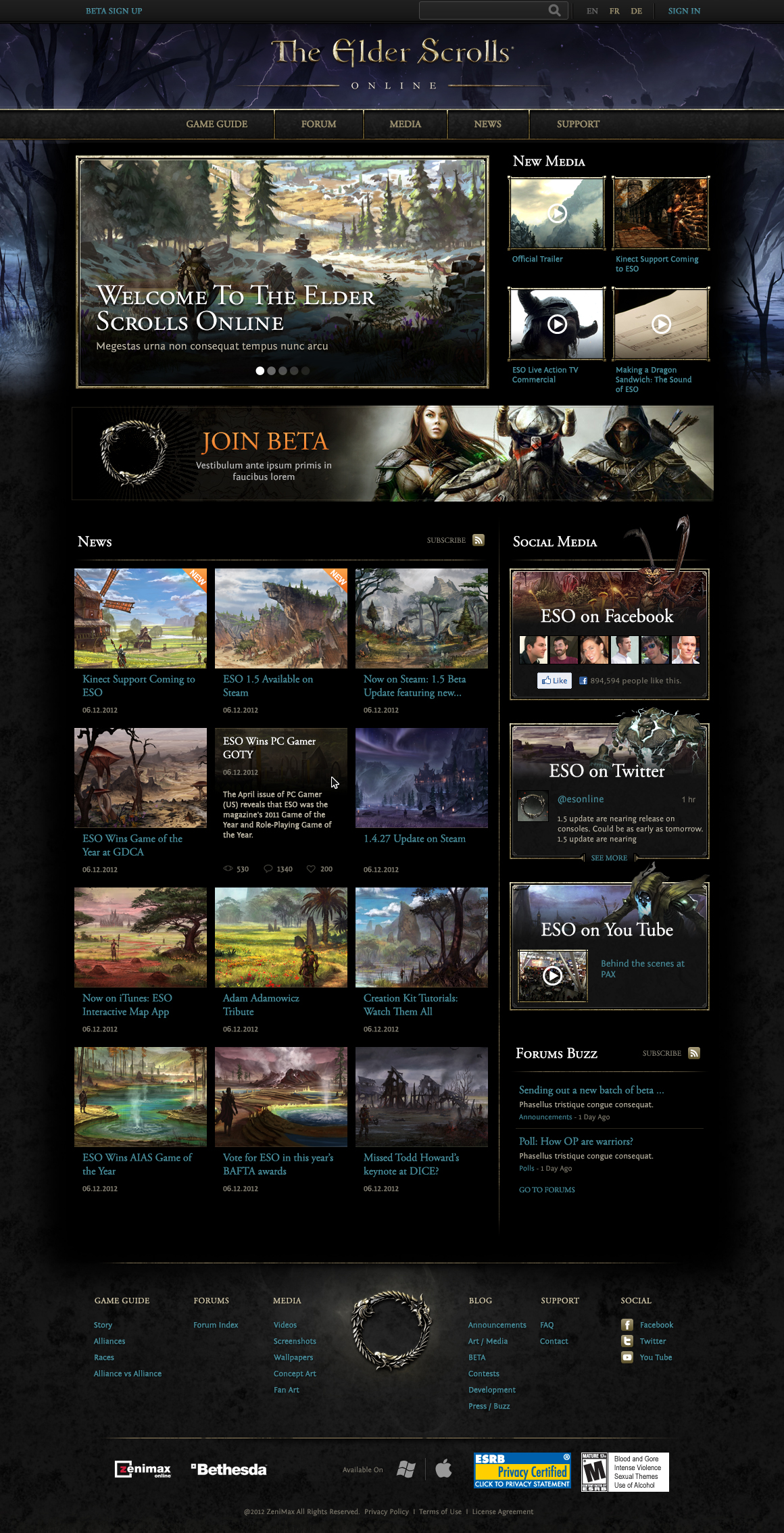 The Elder Scrolls Online Launch Website and Beta Sign Up — FRANK CADIC