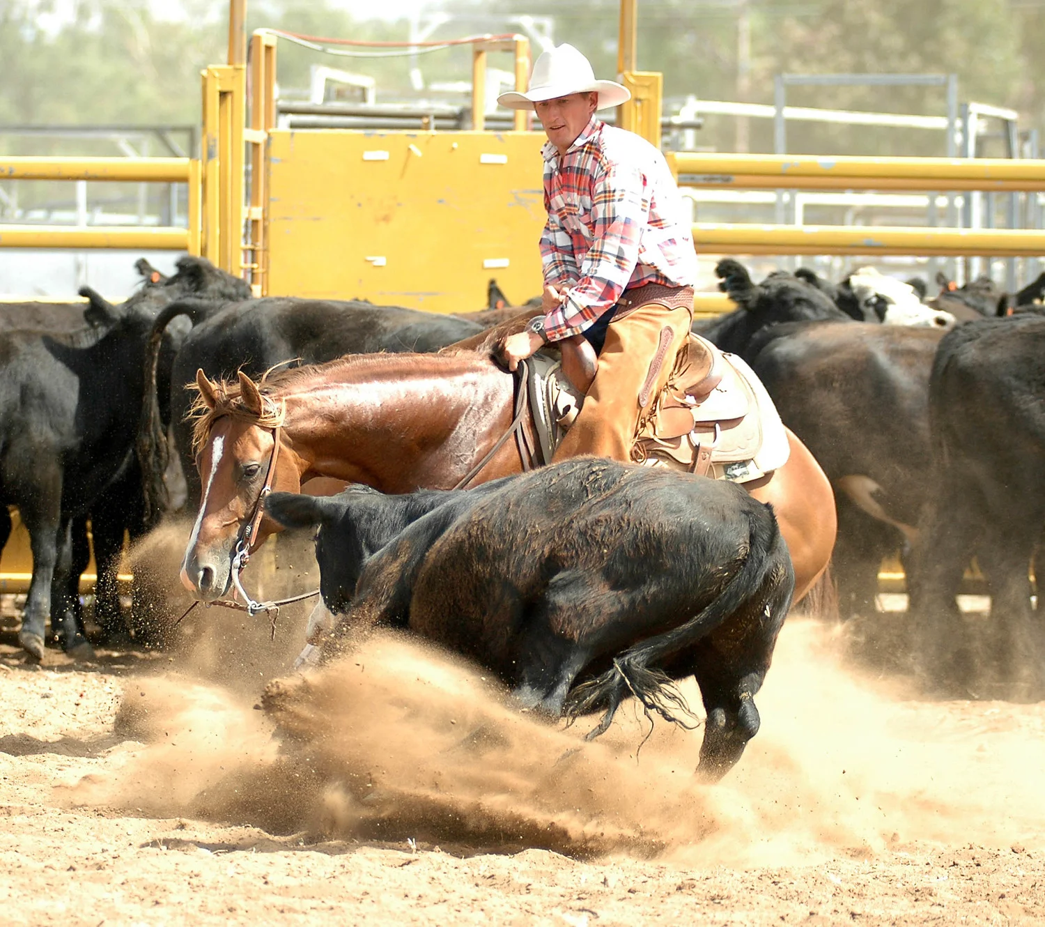 Tom Williamson - One Moore Playboy.jpeg