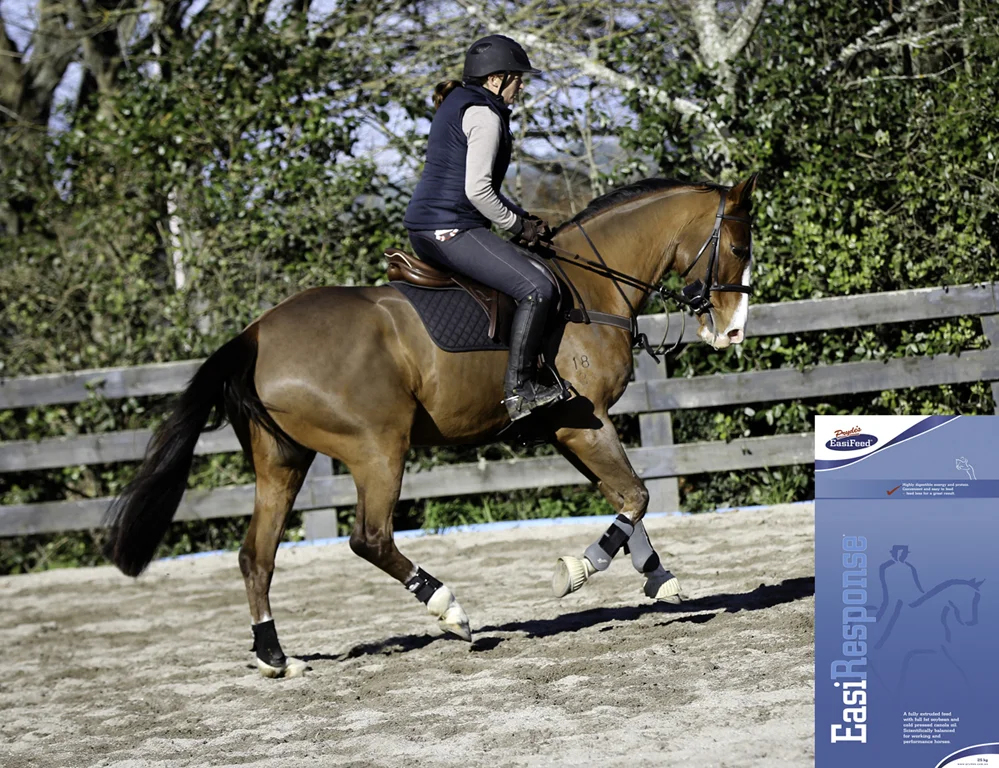 Prydes Apache IMG_0647 copy.jpg