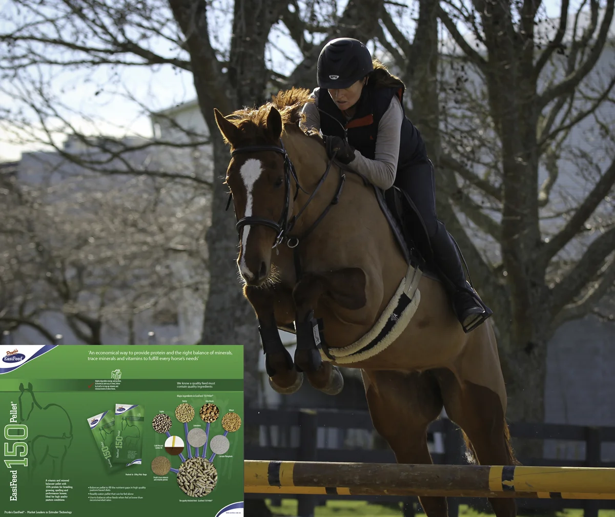 Prydes Bella IMG_0516.jpg