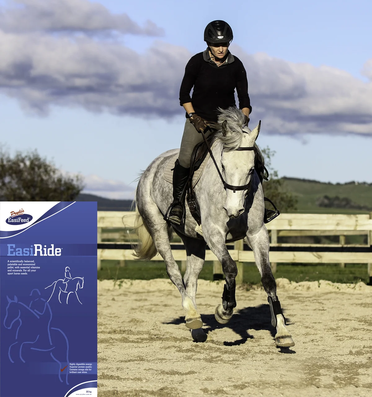 Prydes Izzy IMG_7808.jpg