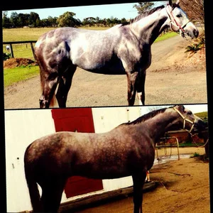 Huge Change in 10 Weeks