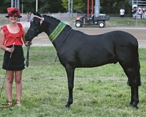 Zoe and her show Pony 'Ash'