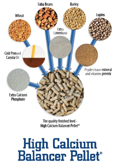 high-calcium-balancer.jpg