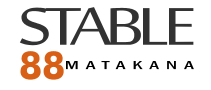 Stable88 title logo.png
