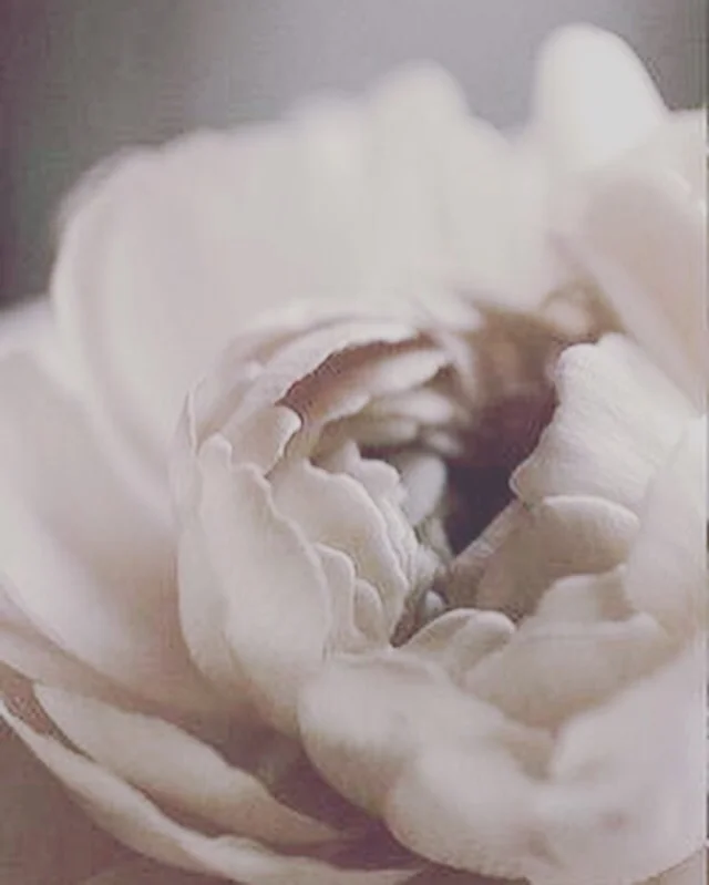 Image: Pinterest
