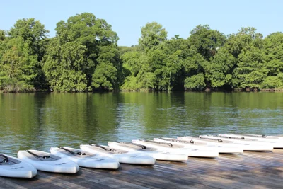 Camp Kayak 2016 EXSm-8.jpg