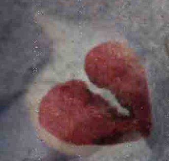 Heart Break & Other Things