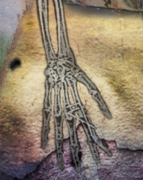 The Sixth Finger