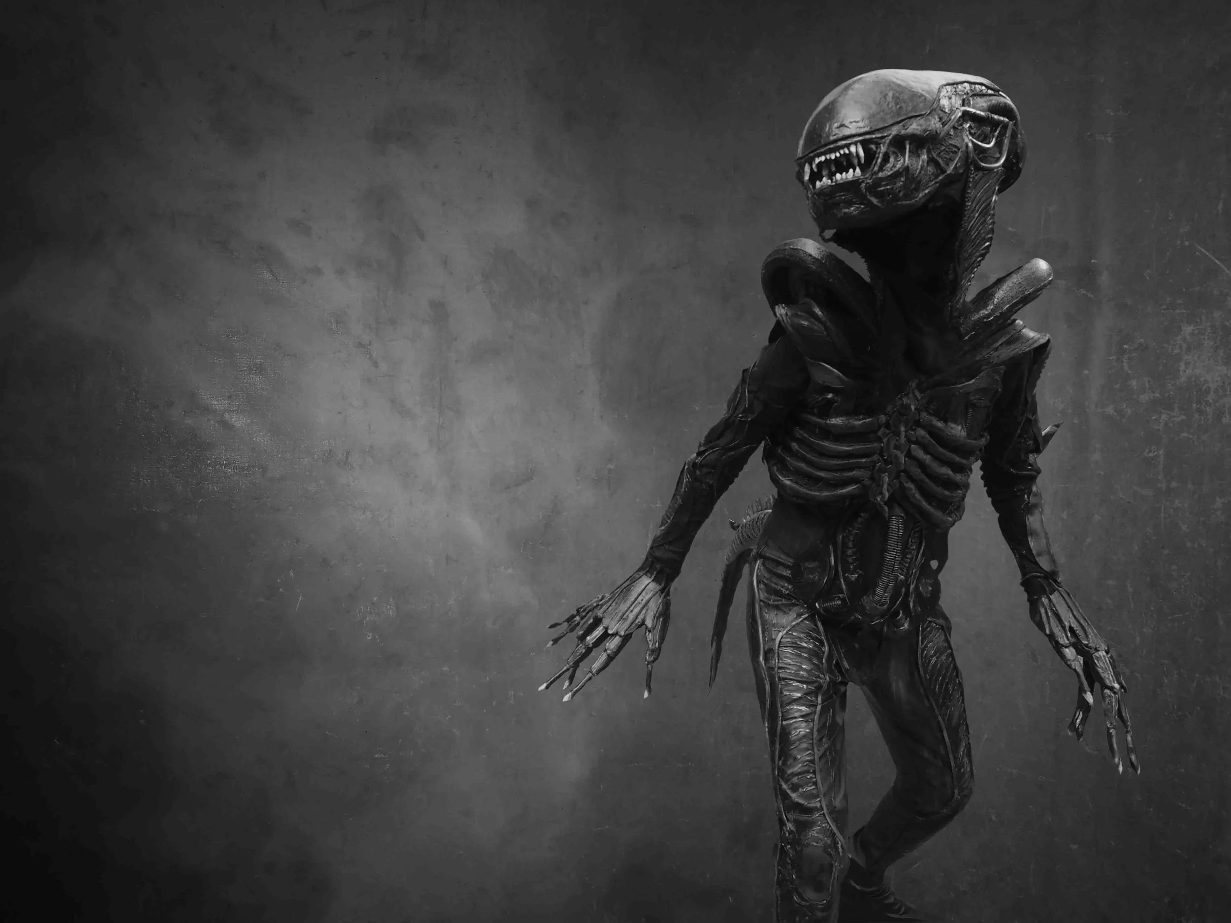 THE ALIEN | COSPLAY BY | Naomi