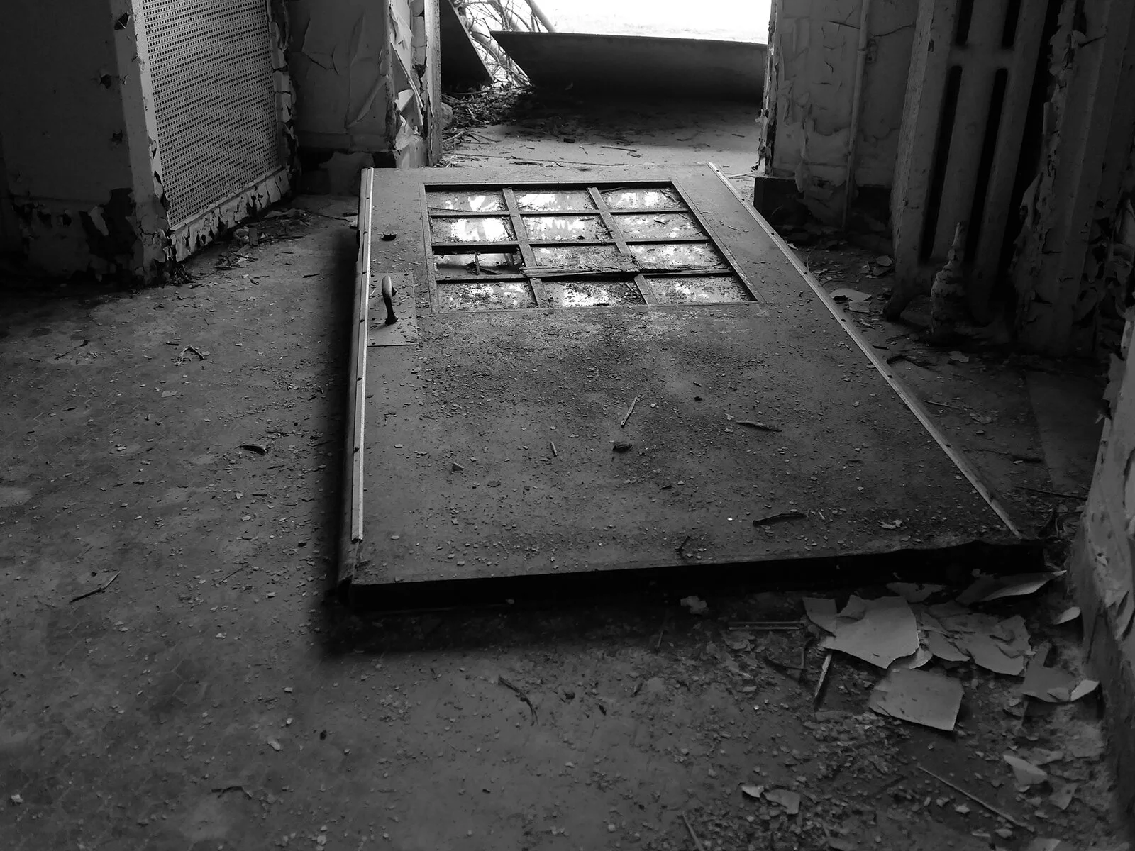 L1021017 LF 05 Door.jpg