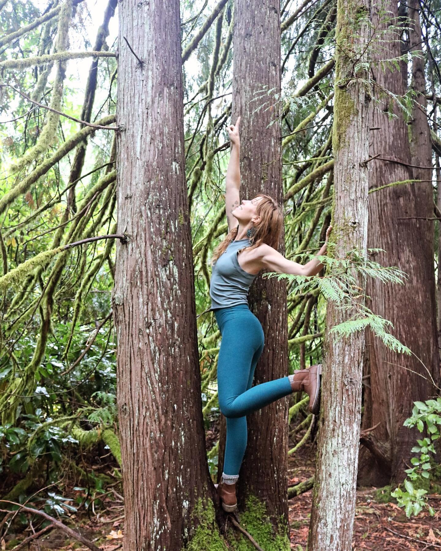 So I danced, I moved, I sang, I cried. 
I went out amongst the trees and breathed. 🌲💨

Then I held my heart, let the fog roll through, and I took a step forward. 🌫️ 

📷 : @joeerichsen 

#outofthedarkness #intothewild #intothelight #intothewoods #