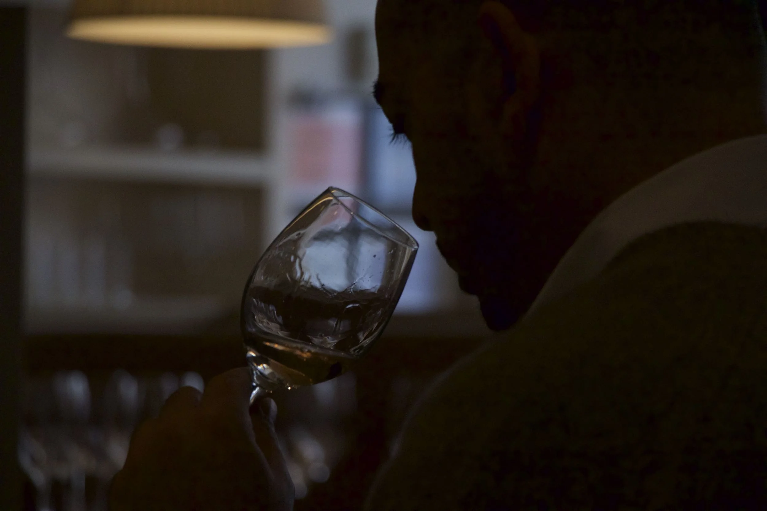 Speak like a Sommelier: Learning the Language of Wine