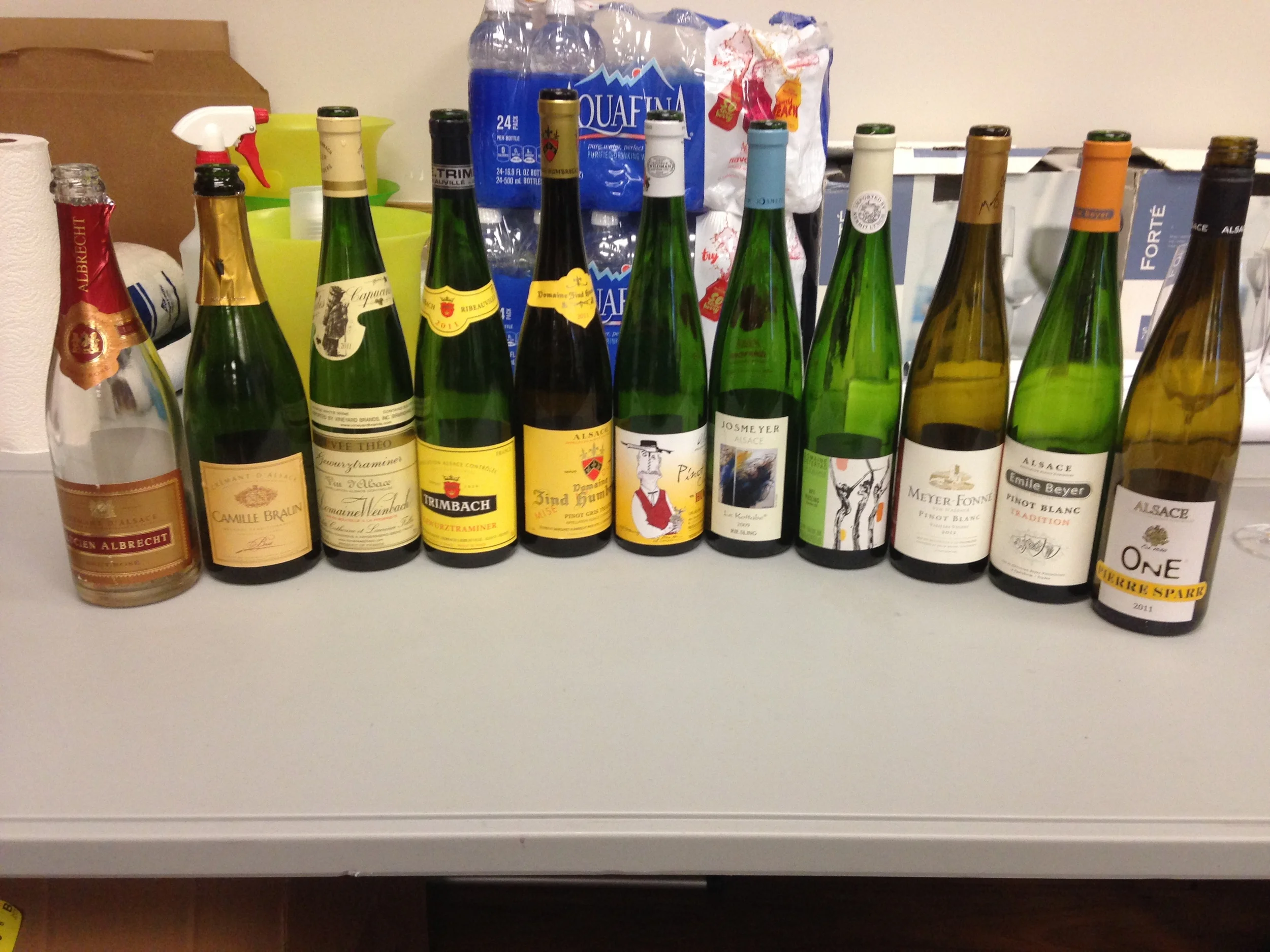 ALSACE_Binnys Training1.jpg