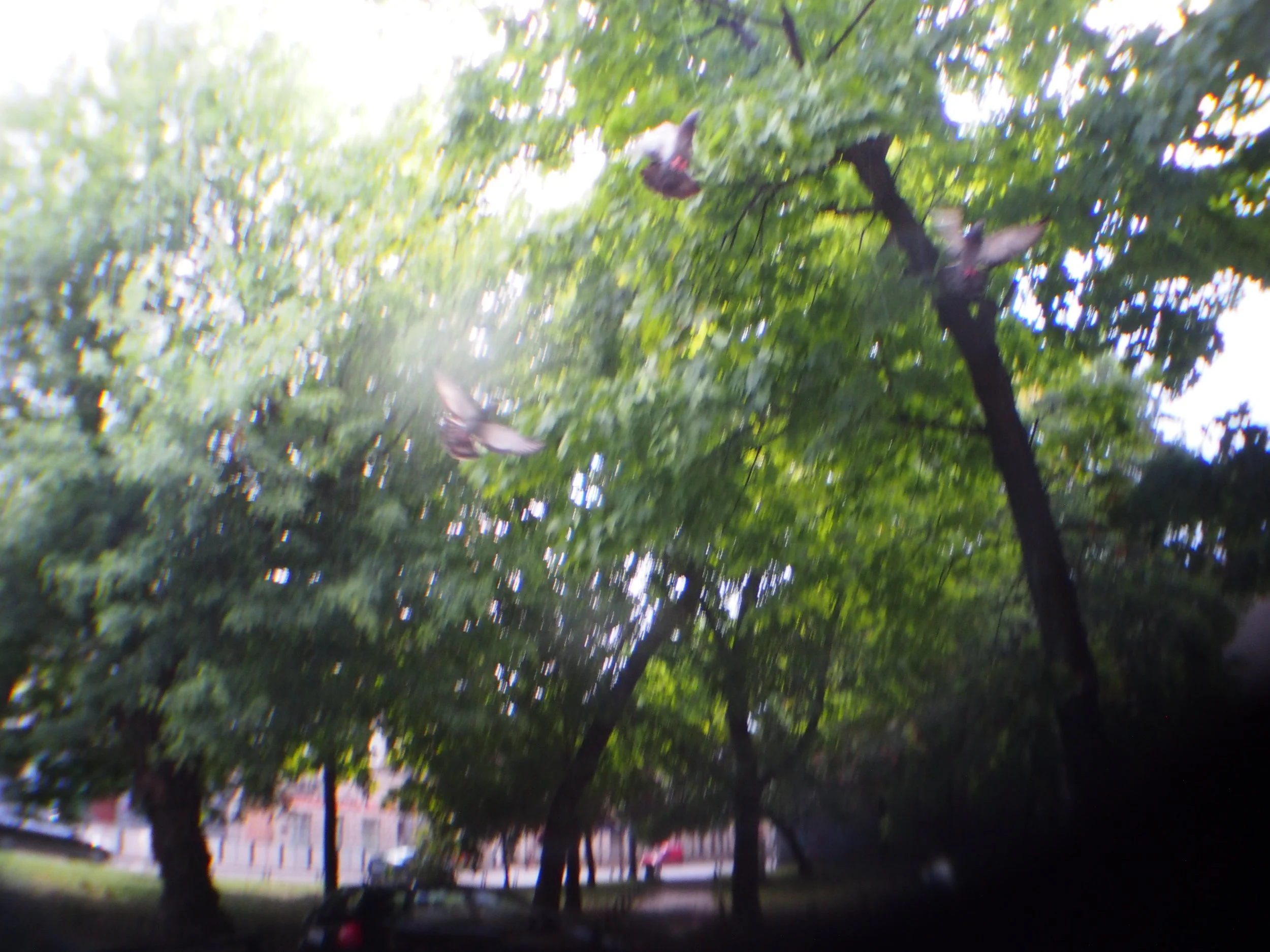   former Jewish ghetto, Krakow  