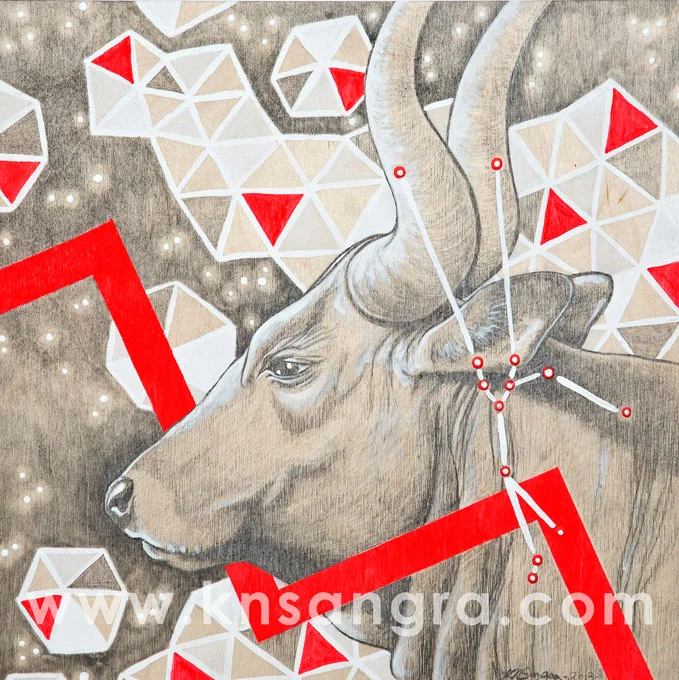 bull.jpg