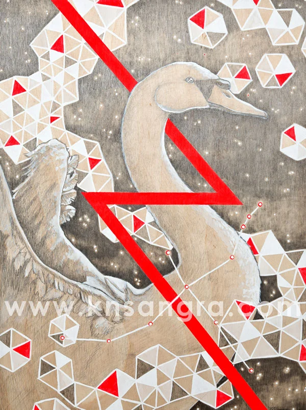 swan.jpg