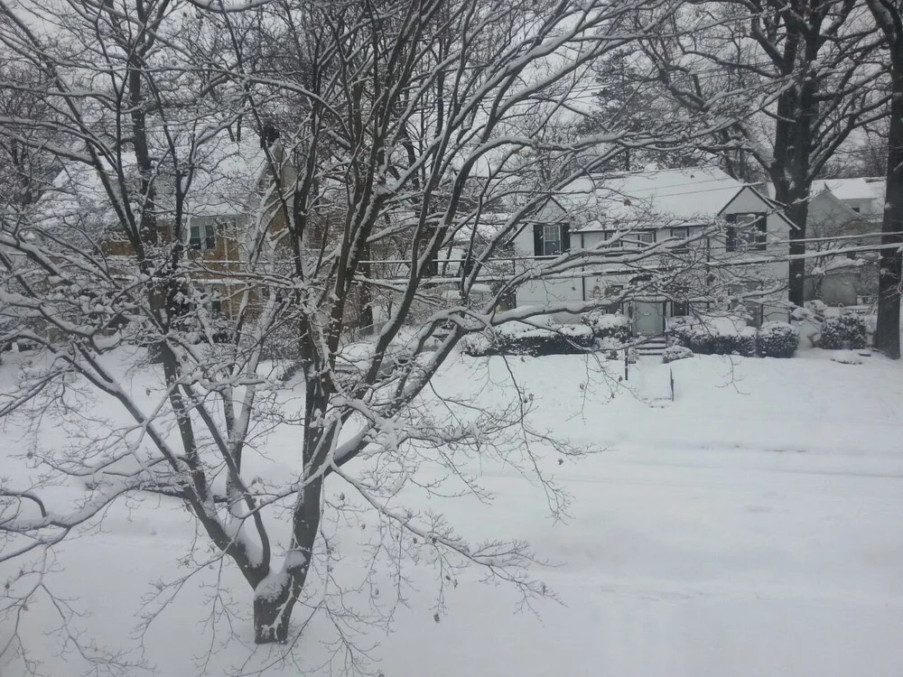 Snow Days