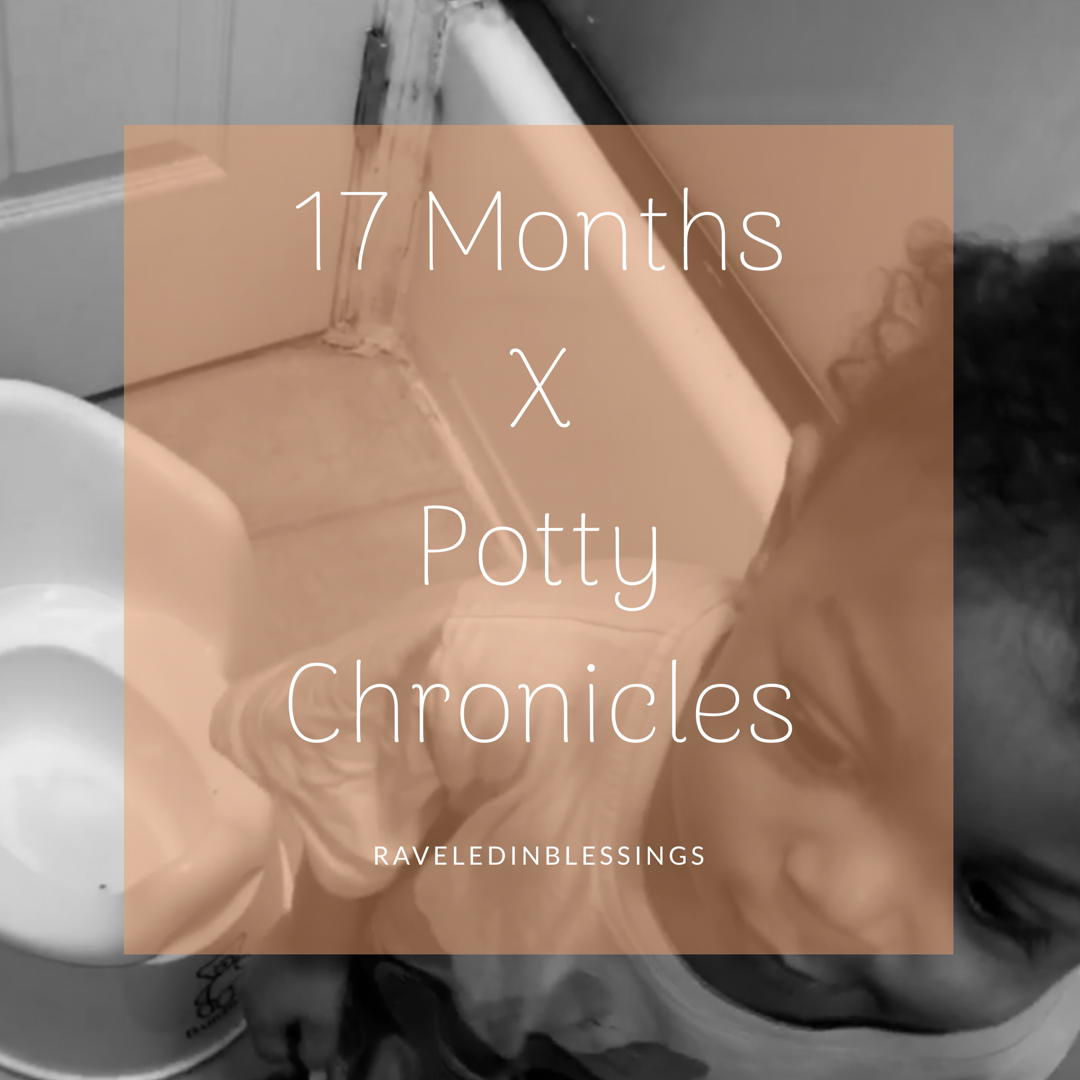 17 Months x Potty Chronicles