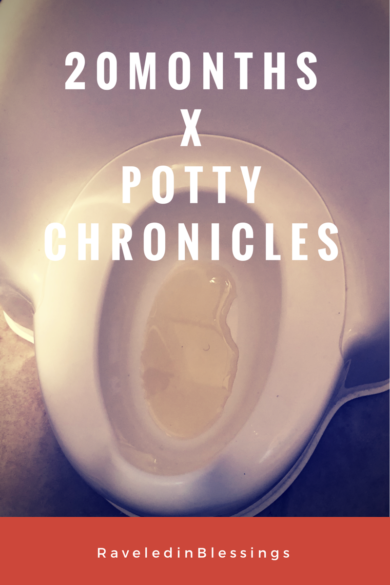20 Month x Potty Chronicles
