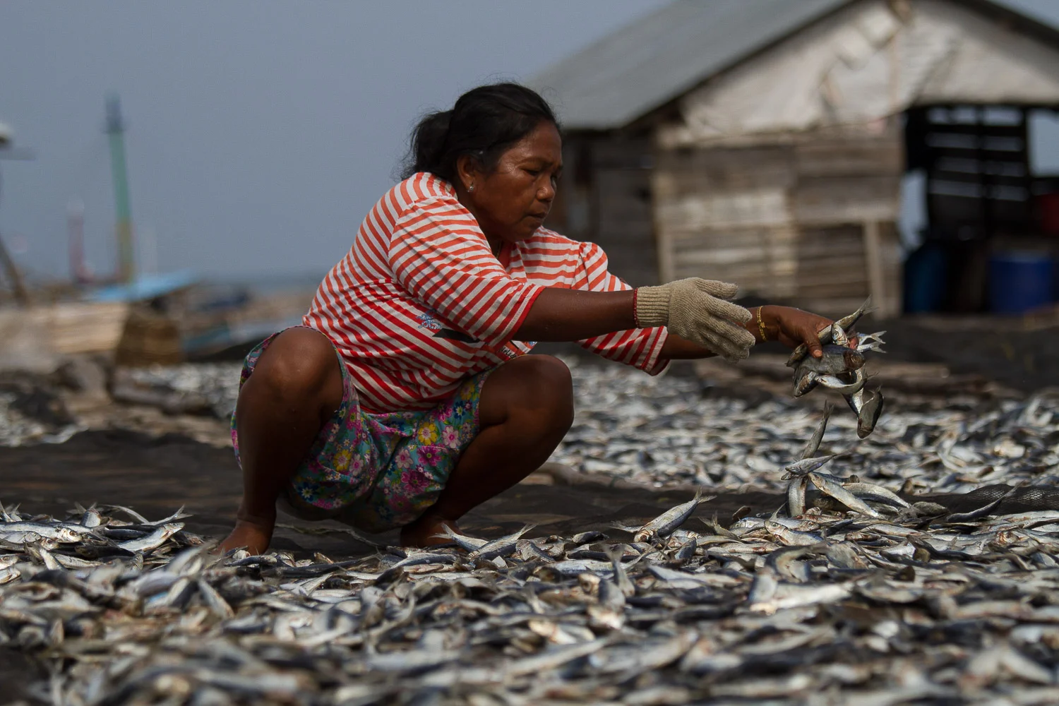 121006-Belitung, IndonesiaIMG_0966.jpg