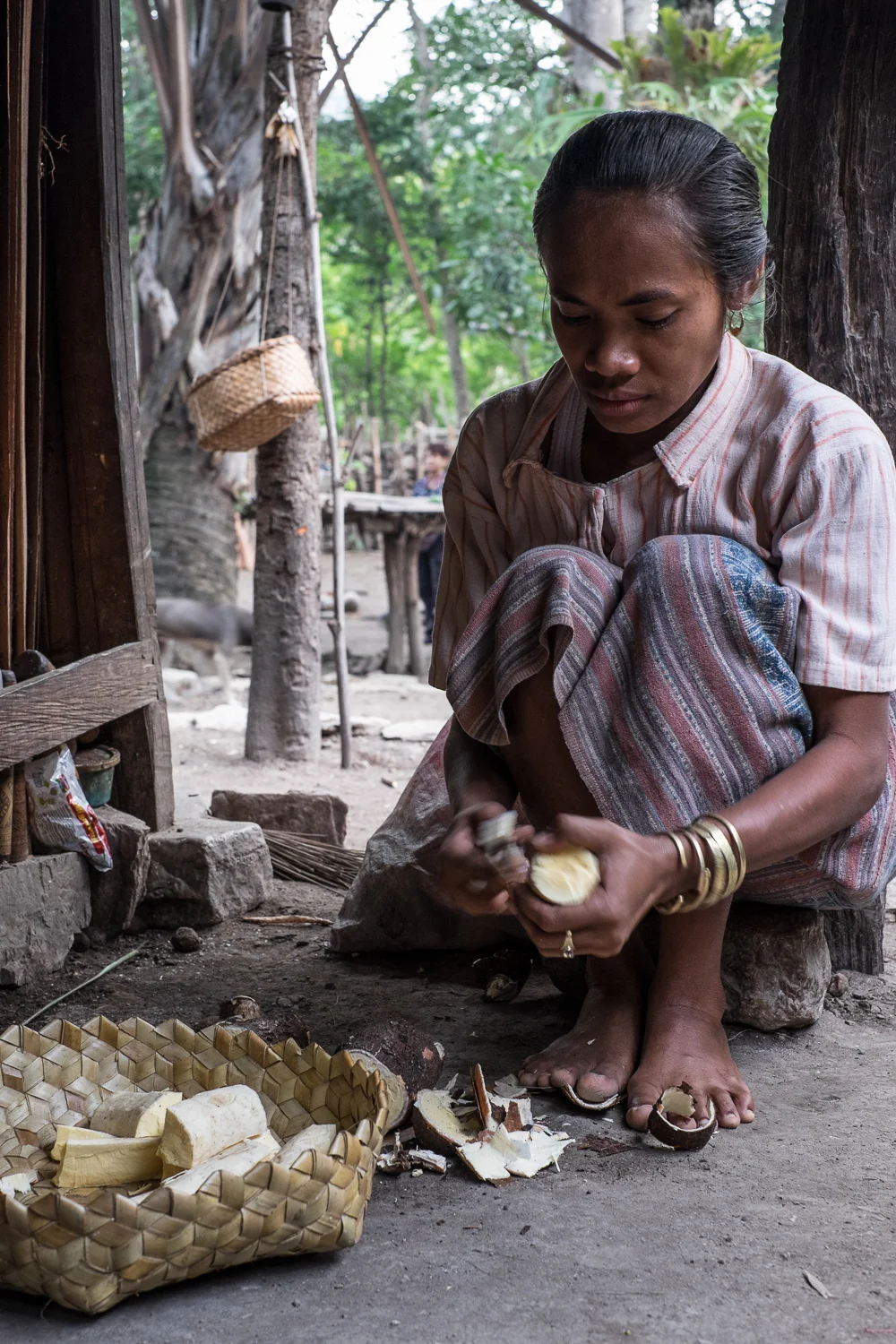 SqSp_DSW_West.Timor_20150428__XT18114.jpg