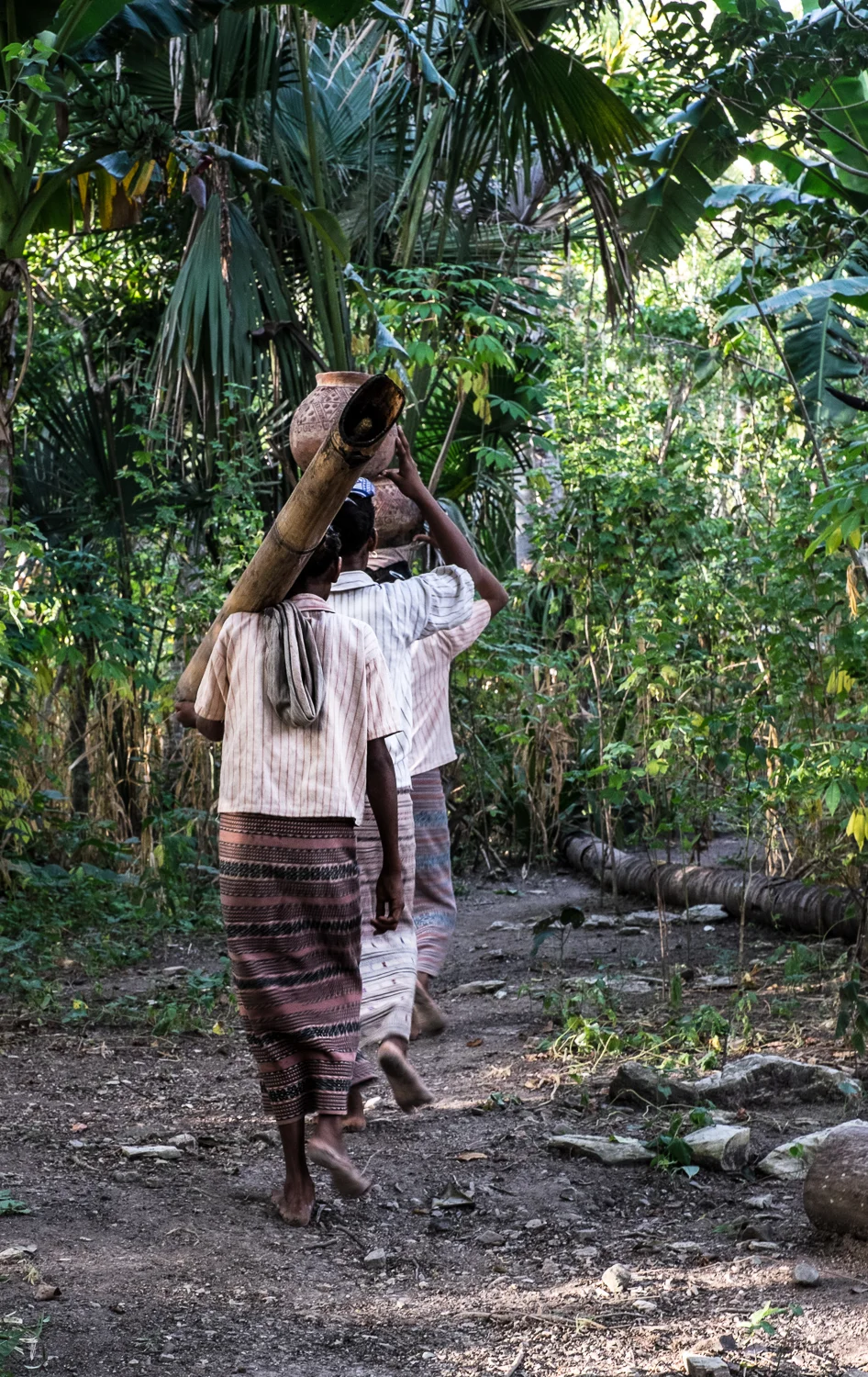 SqSp_DSW_West.Timor_20150428__XT18170.jpg