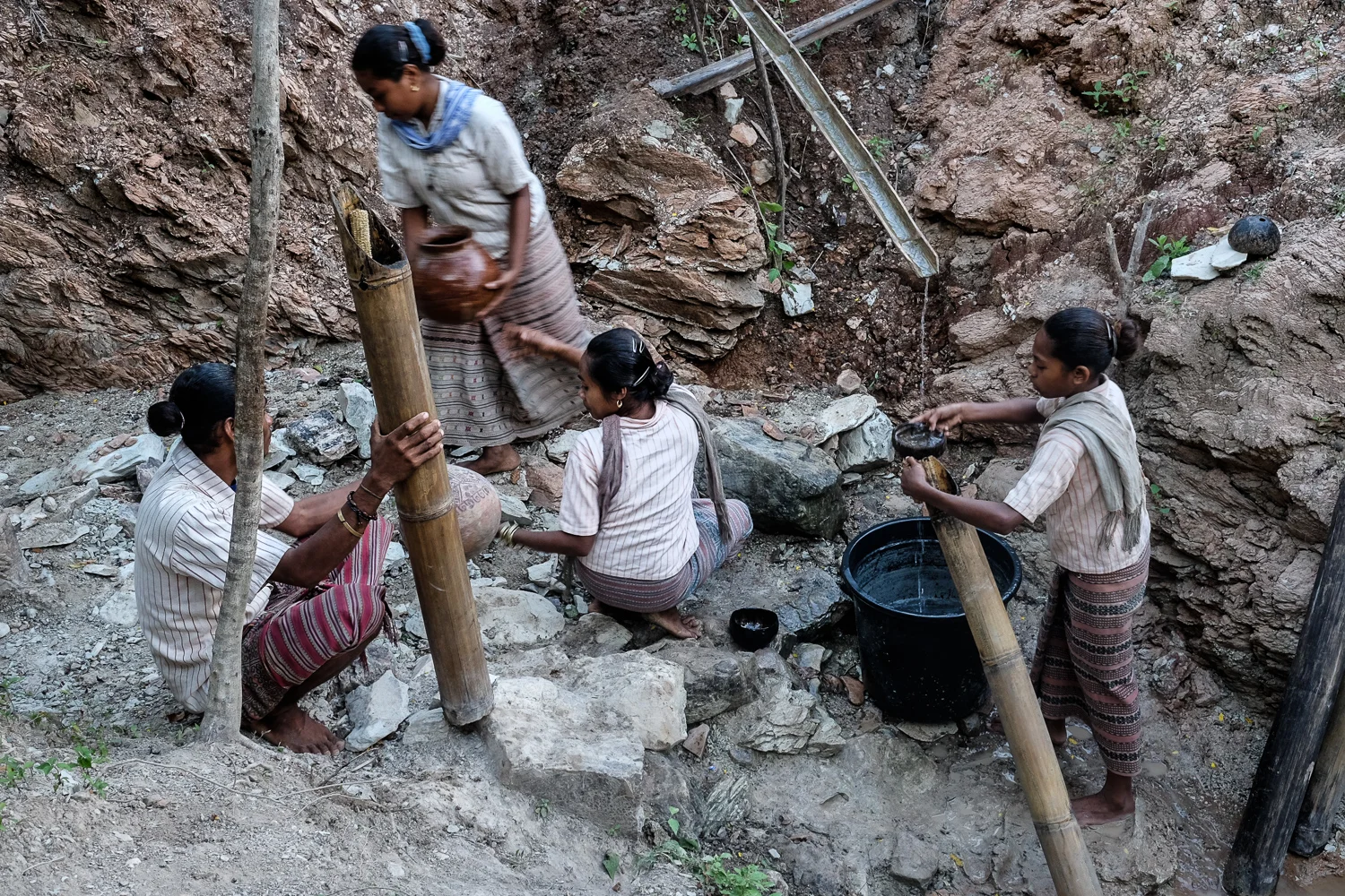 SqSp_DSW_West.Timor_20150428__XT20668.jpg