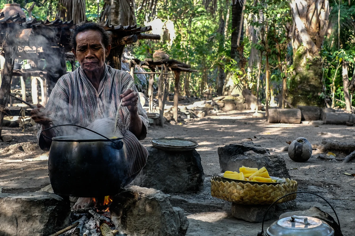 SqSp_DSW_West.Timor_20150428__XT20704.jpg